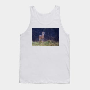 Young Royalty - White-tailed deer Tank Top